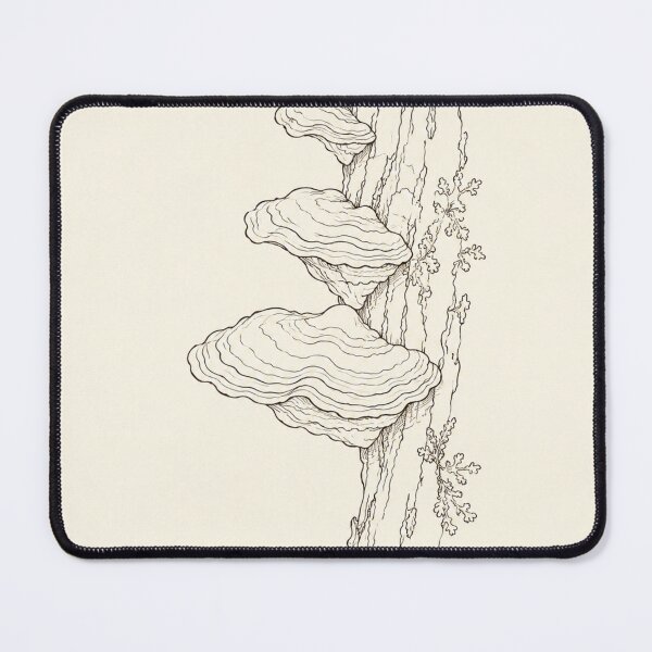 Item preview, Bracket Fungus on Tree Trunk | Minimalist Cottagecore Line Art designed and sold by Zaramodo.