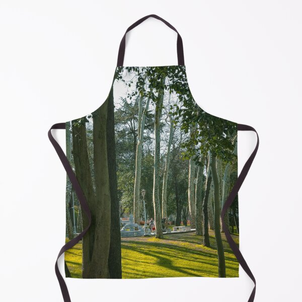 Item preview, Morning Sunlight Streaming Through Tall Trees In Public Park designed and sold by Hutchingse.