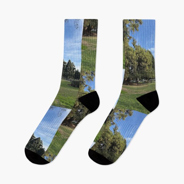 Item preview, Spacious Green Lawn Surrounded By Lush Trees In Urban Park designed and sold by Hutchingse.