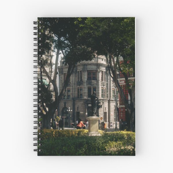 Item preview, Edificio histórico clásico enmarcado por árboles de un parque urbano. designed and sold by Hutchingse.