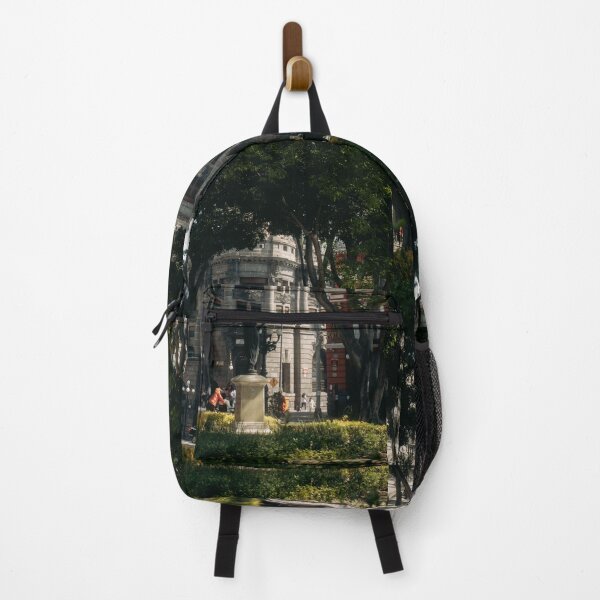 Item preview, Classic Historic Building Framed By Urban Park Trees designed and sold by Hutchingse.