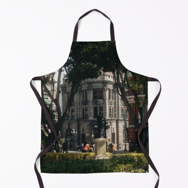 Item preview, Classic Historic Building Framed By Urban Park Trees designed and sold by Hutchingse.