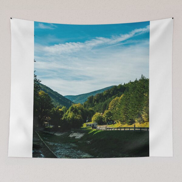 Item preview, Shallow Stream Flowing Through Forested Mountain Valley designed and sold by Hutchingse.