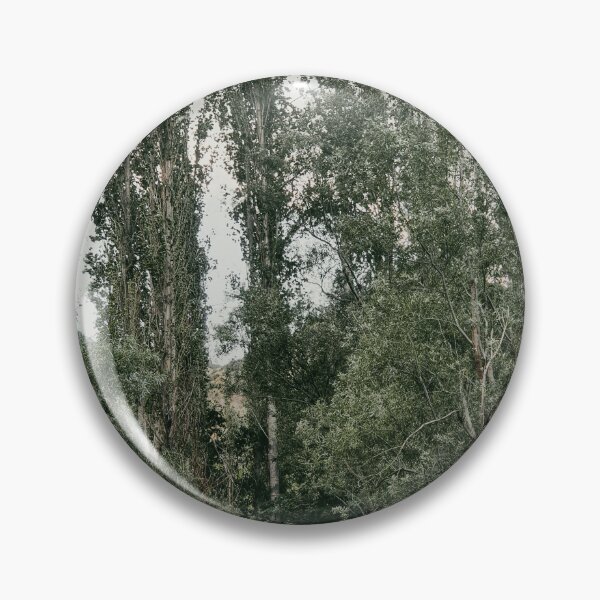 Item preview, Row Of Tall Poplar Trees Standing At Forest Edge designed and sold by Hutchingse.