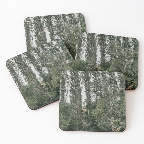 Item preview, Row Of Tall Poplar Trees Standing At Forest Edge designed and sold by Hutchingse.