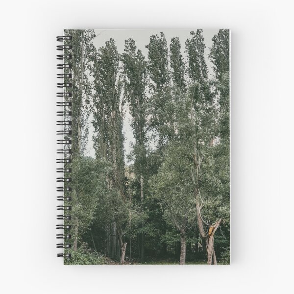 Item preview, Row Of Tall Poplar Trees Standing At Forest Edge designed and sold by Hutchingse.