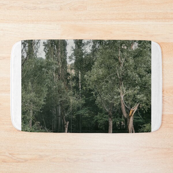 Item preview, Row Of Tall Poplar Trees Standing At Forest Edge designed and sold by Hutchingse.