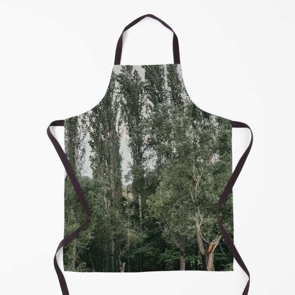 Item preview, Row Of Tall Poplar Trees Standing At Forest Edge designed and sold by Hutchingse.