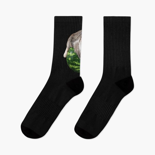 Item preview, Watermelon Cat Funny Meme designed and sold by charoen-design.