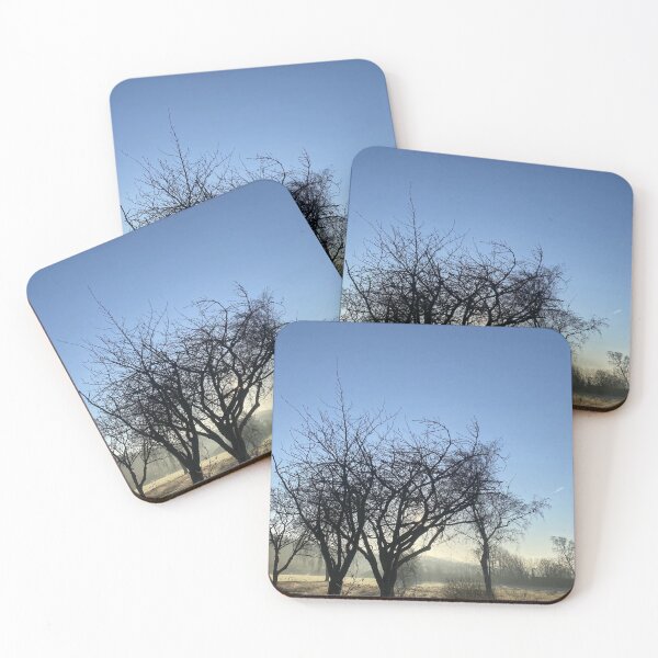Item preview, Frosty Morning Silhouette designed and sold by Astute-Artio-Photography.