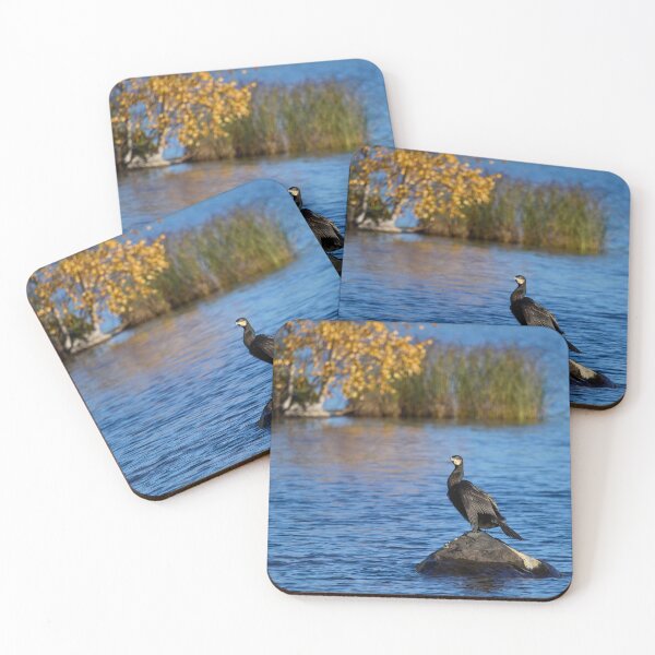Item preview, Fall portrait. Great Cormorant designed and sold by Jouko Lehto Photography.