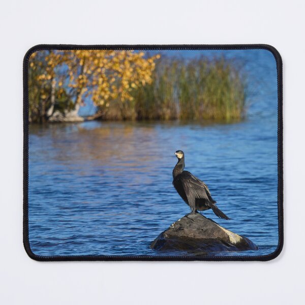 Item preview, Fall portrait. Great Cormorant designed and sold by Jouko Lehto Photography.