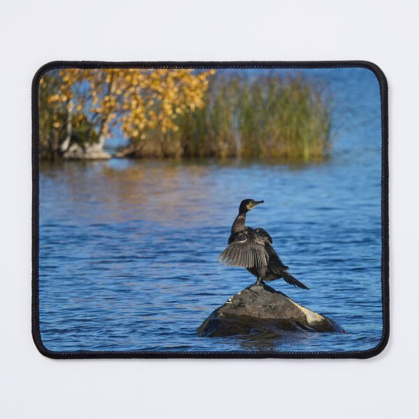 Item preview, Necktwist. Great Cormorant designed and sold by Jouko Lehto Photography.