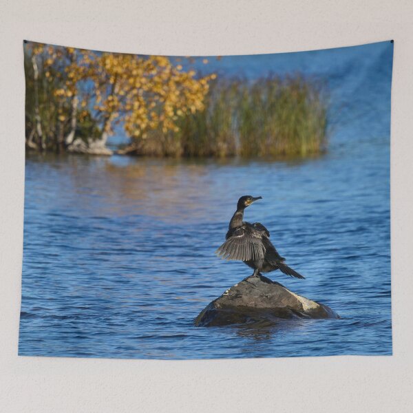 Item preview, Necktwist. Great Cormorant designed and sold by Jouko Lehto Photography.