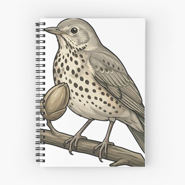 Item preview, Vintage Naturalist Mistle Thrush — Antique Bird Plate designed and sold by Catch333.