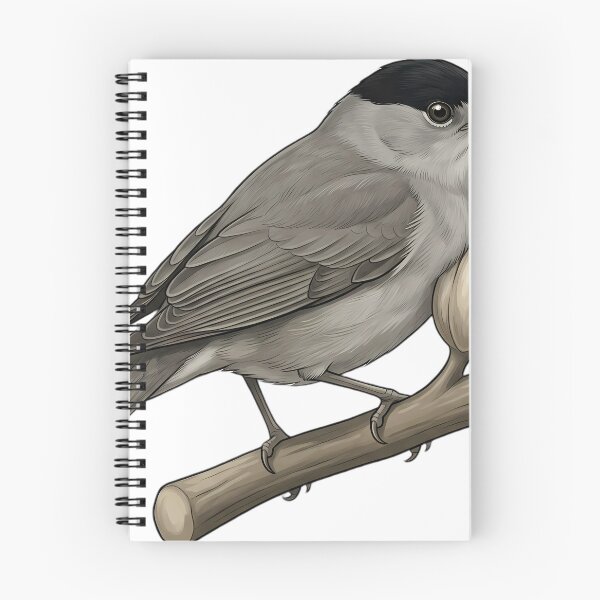 Item preview, Vintage Naturalist Blackcap — Antique Garden Bird Art designed and sold by Catch333.