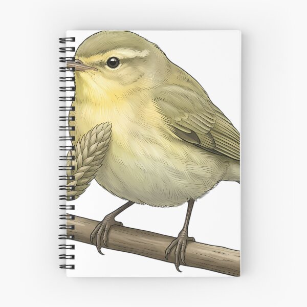 Item preview, Vintage Naturalist Willow Warbler — Antique Meadow Bird Art designed and sold by Catch333.