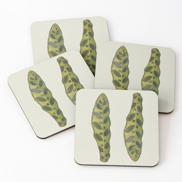 Aperçu de l'œuvre Calathea Rattlesnake créée et vendue par mooneko.