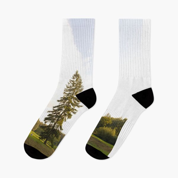 Item preview, Golden Sunlight Illuminating Rolling Forested Hills At Sunset    designed and sold by Reillyont.
