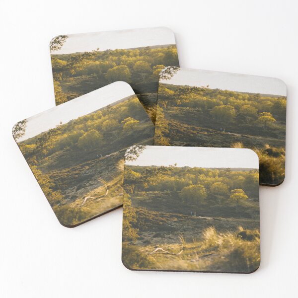 Item preview, Bright Sunlight Shining Through Trees In Forest Park    designed and sold by Reillyont.