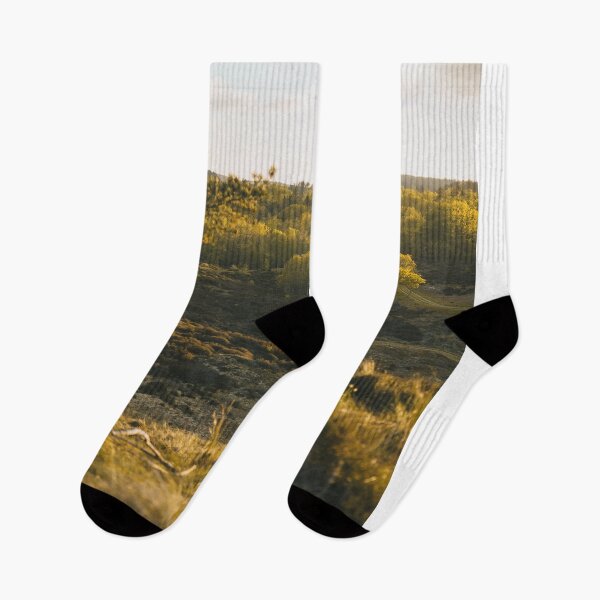 Item preview, Bright Sunlight Shining Through Trees In Forest Park    designed and sold by Reillyont.