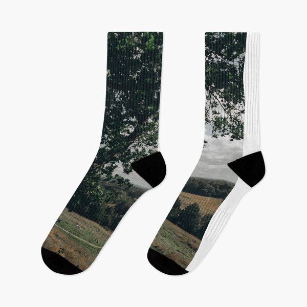 Item preview, High View Of Grassy Hill And Forest Landscape Under Tree Frame    designed and sold by Reillyont.