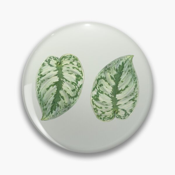 Item preview, Scindapsus Pictus Exotica designed and sold by mooneko.