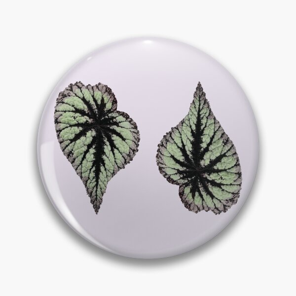 Item preview, Begonia 'Fuegos artificiales' designed and sold by mooneko.