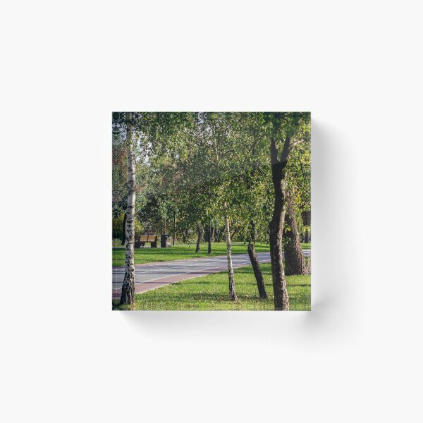 Item preview, Shaded Park Path Framed By Birch Trees designed and sold by Squikale.