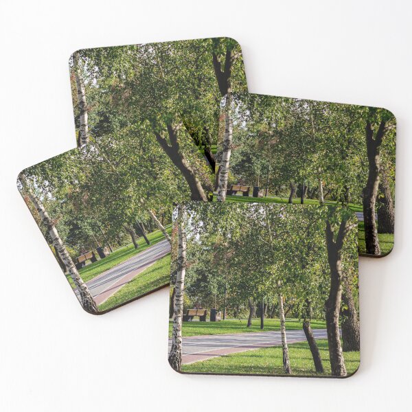 Item preview, Shaded Park Path Framed By Birch Trees designed and sold by Squikale.