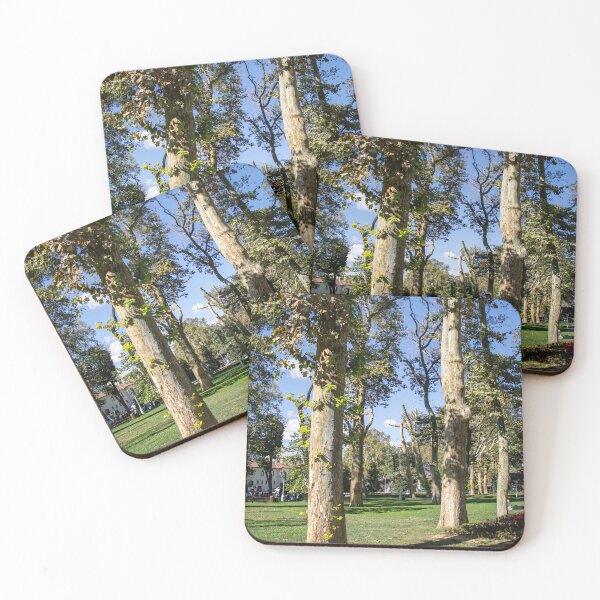 Item preview, Tall Plane Trees Spreading Shade In Public Park designed and sold by Squikale.