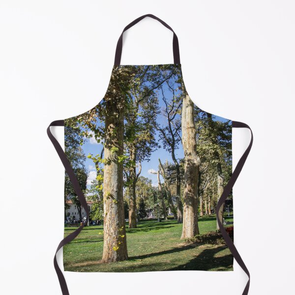 Item preview, Tall Plane Trees Spreading Shade In Public Park designed and sold by Squikale.