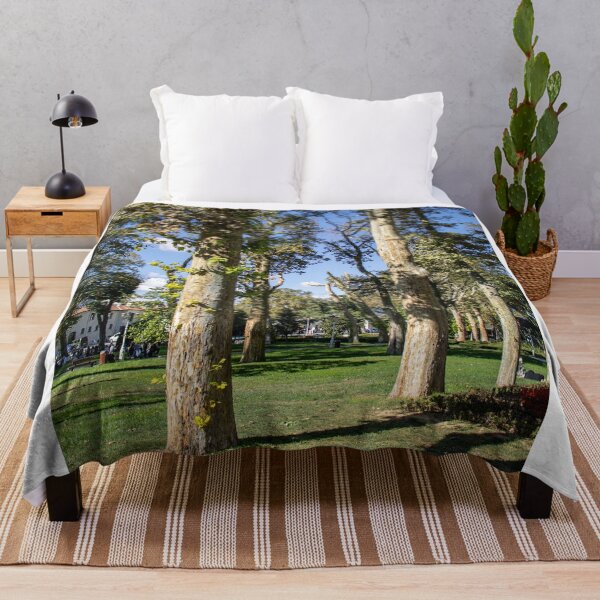 Item preview, Tall Plane Trees Spreading Shade In Public Park designed and sold by Squikale.