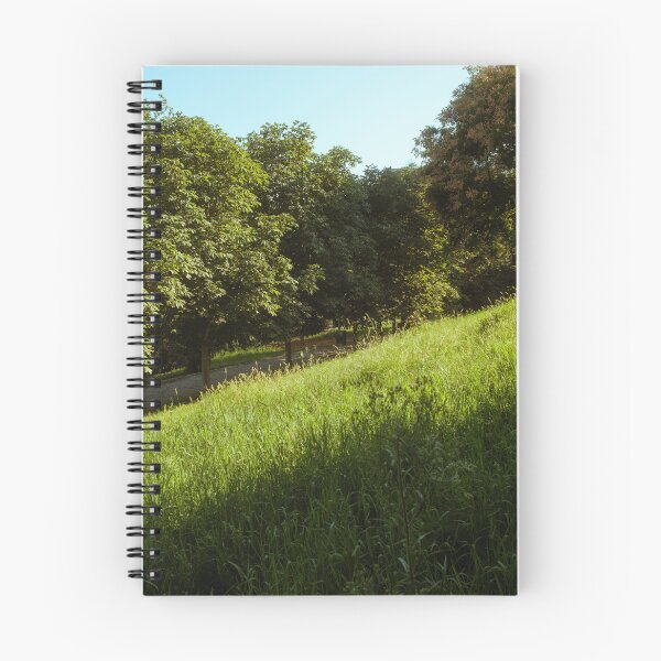 Item preview, Sunlit Grassy Slope Beside Tree-Lined Pathway designed and sold by Squikale.