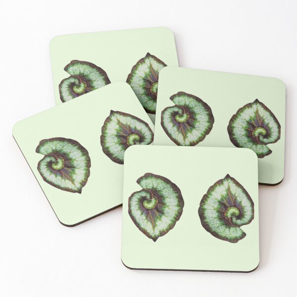 Item preview, Begonia 'Escargot' designed and sold by mooneko.