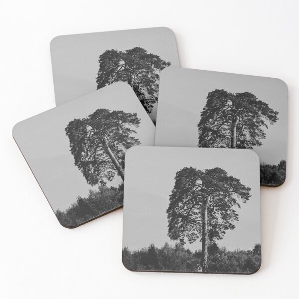 Item preview, Black And White Photo Of Single Tall Tree In Field designed and sold by Ayubaslatere.