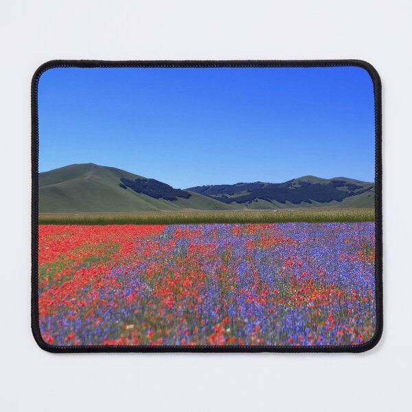 Item preview, Castelluccio flowering 2026 designed and sold by annalisa56.