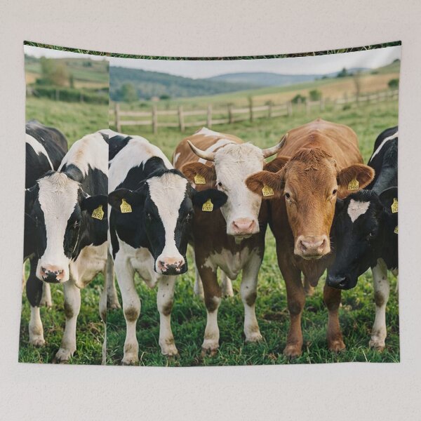 Item preview, Cows designed and sold by snoWorkshop.