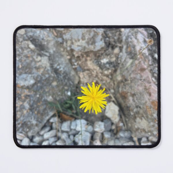 Item preview, Little Flower of the Sun designed and sold by 55synonyms.