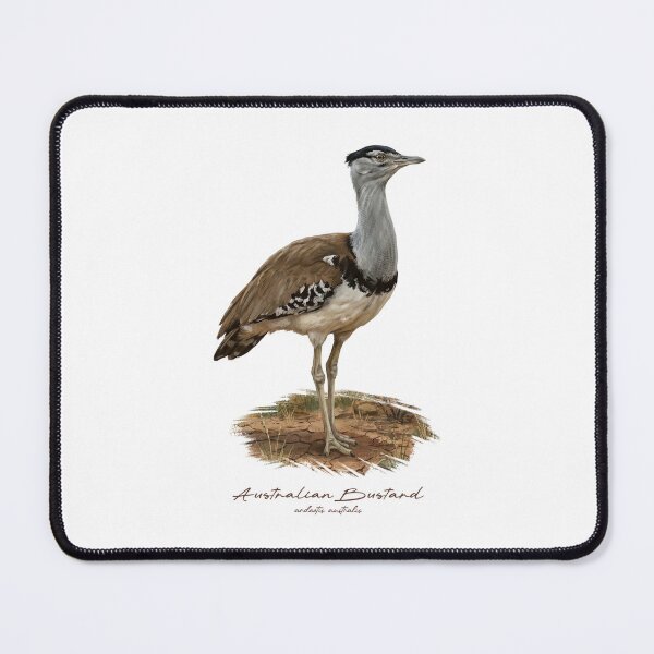 Item preview, Australian Bustard on Grassland Bird Illustration designed and sold by Takeda-art.