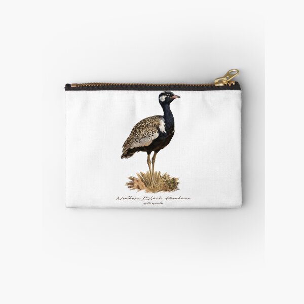 Item preview, Northern Black Korhaan on Grassland Bird Illustration designed and sold by Takeda-art.