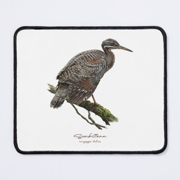Item preview, Sunbittern on Mossy Branch Bird Illustration designed and sold by Takeda-art.