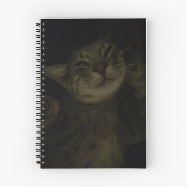 Item preview, Kitty Cuteness designed and sold by Malkin101.