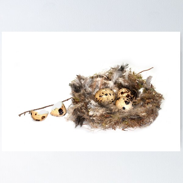 Item preview, Leaving the Nest designed and sold by jaks.