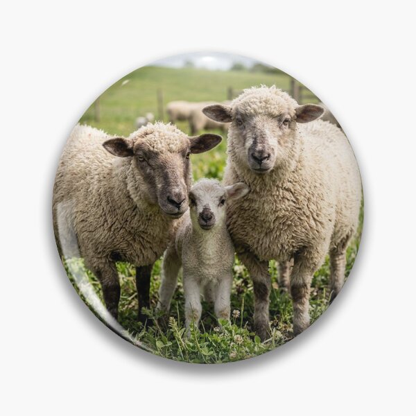 Item preview, sheep designed and sold by snoWorkshop.