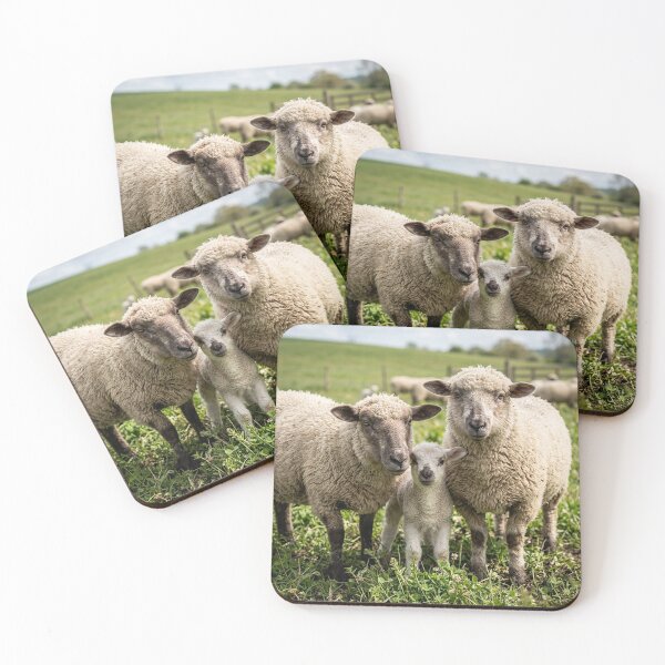 Item preview, sheep designed and sold by snoWorkshop.