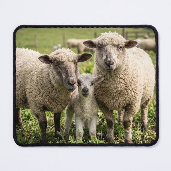 Item preview, sheep designed and sold by snoWorkshop.