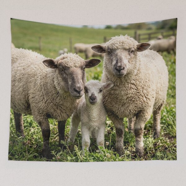 Item preview, sheep designed and sold by snoWorkshop.