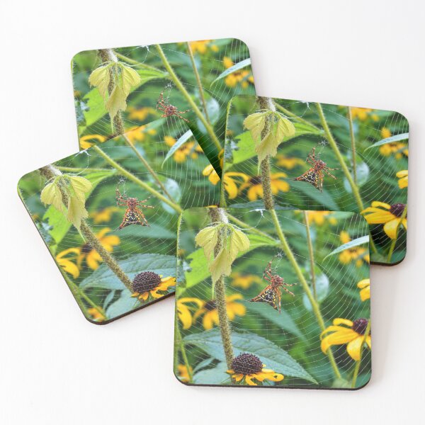 Item preview, Arrow-Shaped Micrathena Spider in the Garden designed and sold by Astute-Artio-Photography.