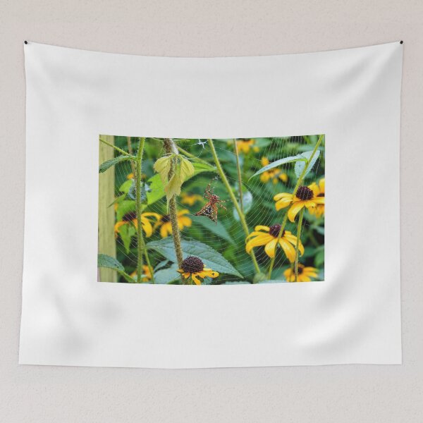 Item preview, Arrow-Shaped Micrathena Spider in the Garden designed and sold by Astute-Artio-Photography.